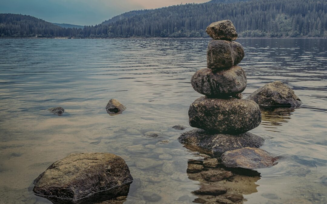 La Sadhana: Meditaciones